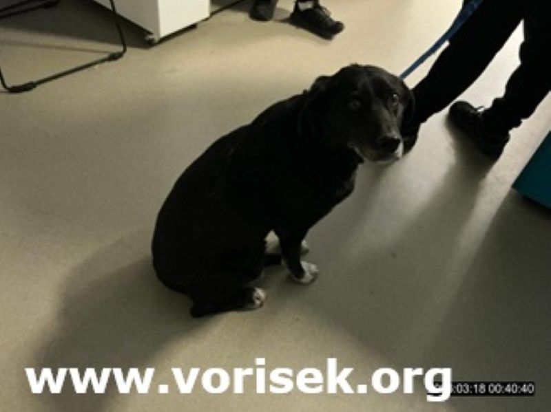 Tento obr�zek nem� vypln�n� atribut alt; n�zev souboru je 2545-26-.jpg.