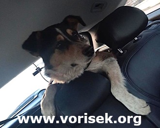 Tento obr�zek nem� vypln�n� atribut alt; n�zev souboru je 2546-26.jpeg.