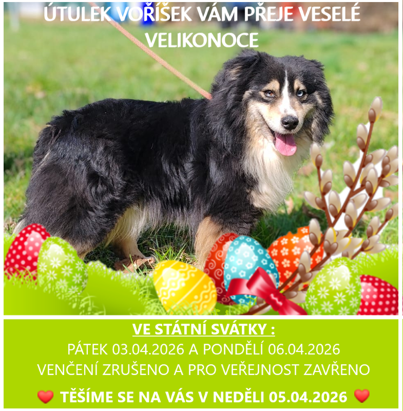 Tento obr�zek nem� vypln�n� atribut alt; n�zev souboru je velikonoce-1.png.